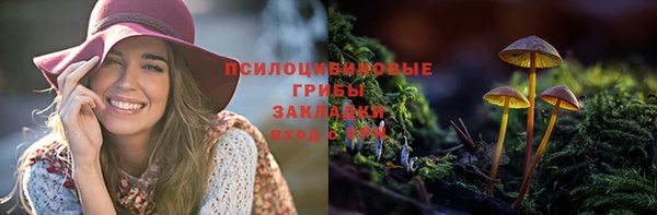 трава Баксан