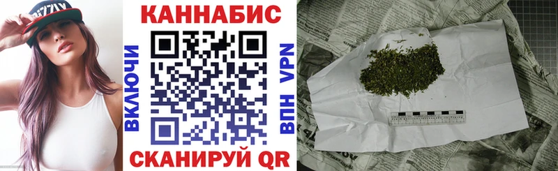 Каннабис сатива  Кохма 